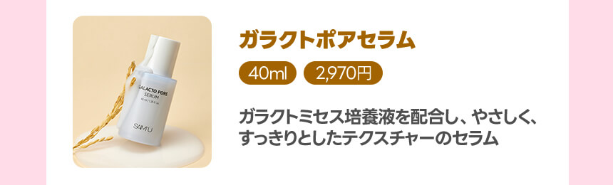 ガラクトポアセラム