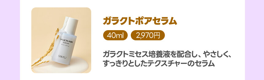 ガラクトポアセラム